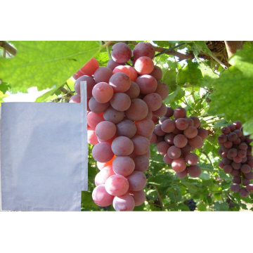 Manufacturer Supply Biodegradable Wax Coated Grape Grow Paper Bag Fruit Protect